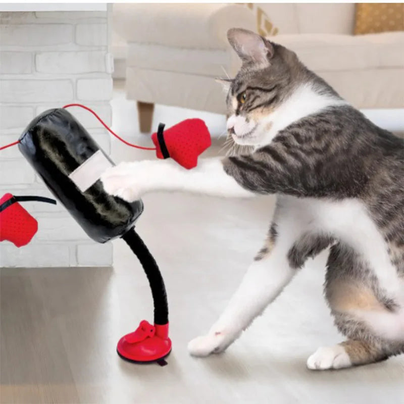 Mèo vờn bao đấm bốc nhỏ màu đen và găng tay đỏ trong phòng khách sáng sủa.