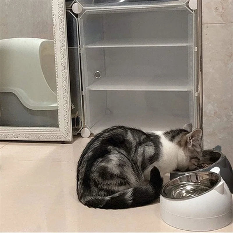 Pet Bowls Dog Food Water Feeder Stainless Steel Pet Drinking Dish Feeder Cat Puppy Feeding Supplies Small Dog Accessories - Daisan Mart