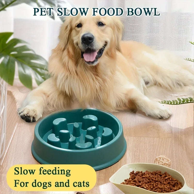 Non-slip slow Feeder Pet Bowl prevents choking and promotes healthy eat habits for Dogs and Cats Dog food bowls Pet rice bowls - Daisan Mart