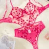 New Spring New One-Piece Embroidery Love Lace Sexy Underwear Suit Women Lace Mesh Bra Set - Daisan Mart