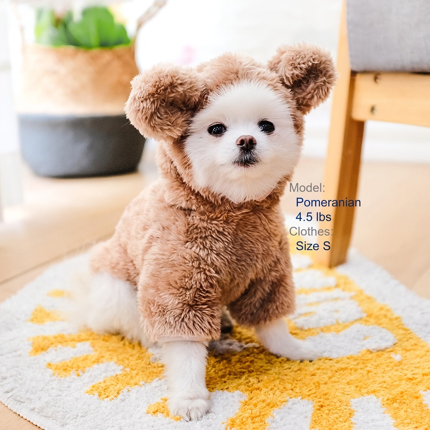 Pet Warm Teddy Bear Costume, Dog & Cat Pet Costumes - Daisan Mart