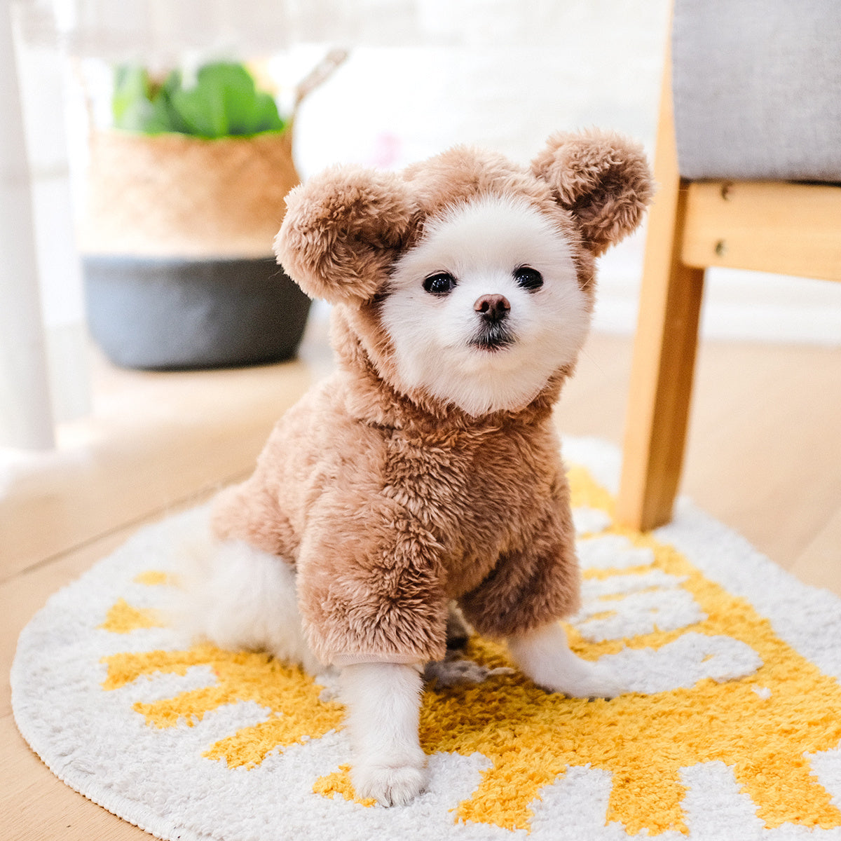 Pet Warm Teddy Bear Costume, Dog & Cat Pet Costumes - Daisan Mart
