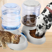 Chó đốm ăn thức ăn khô và mèo vằn uống nước từ các bình đựng trong suốt trên sàn gỗ.