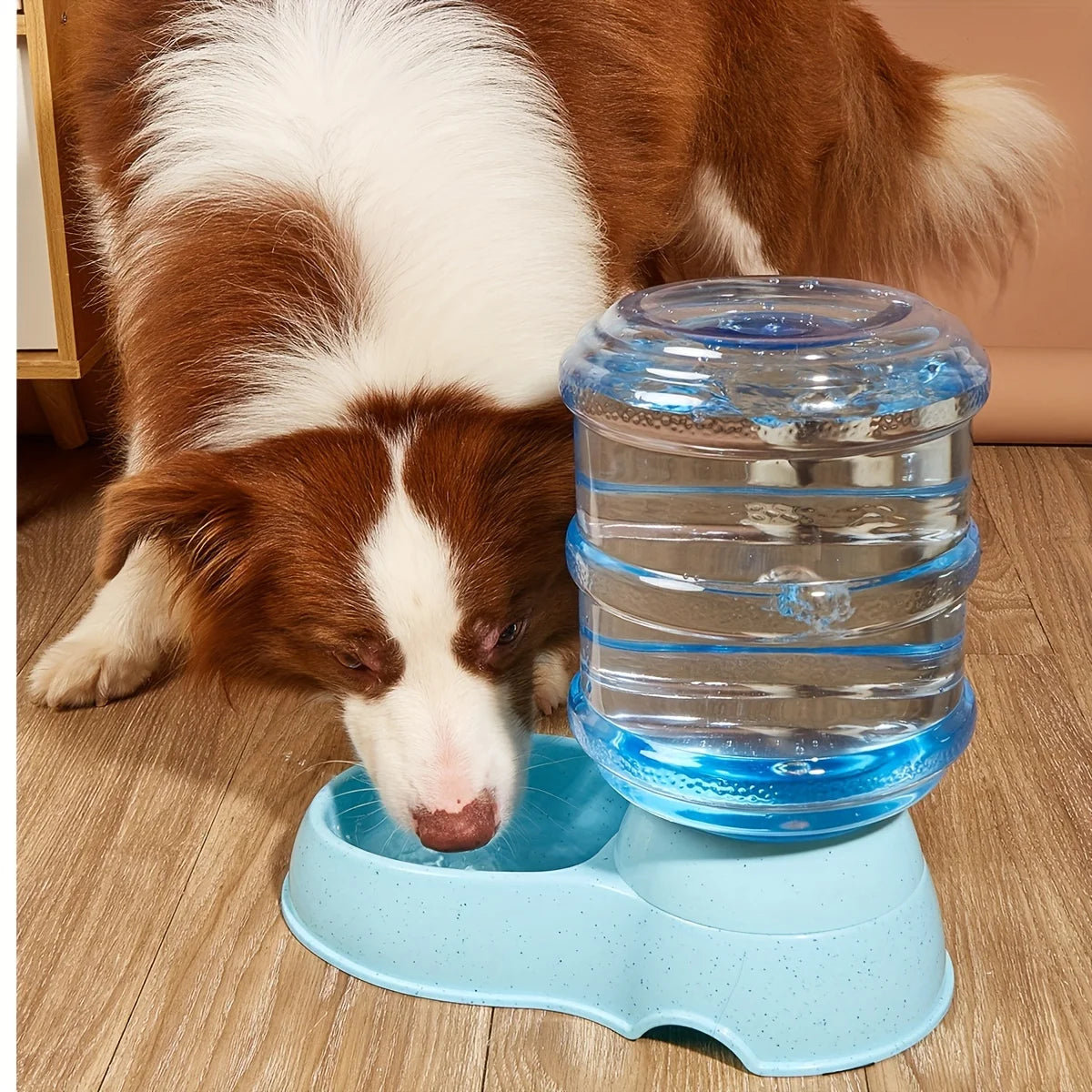 Pet dog and cat water feeding and feeder  can be large capacity automatic water storage water feeder  and feeder - Daisan Mart