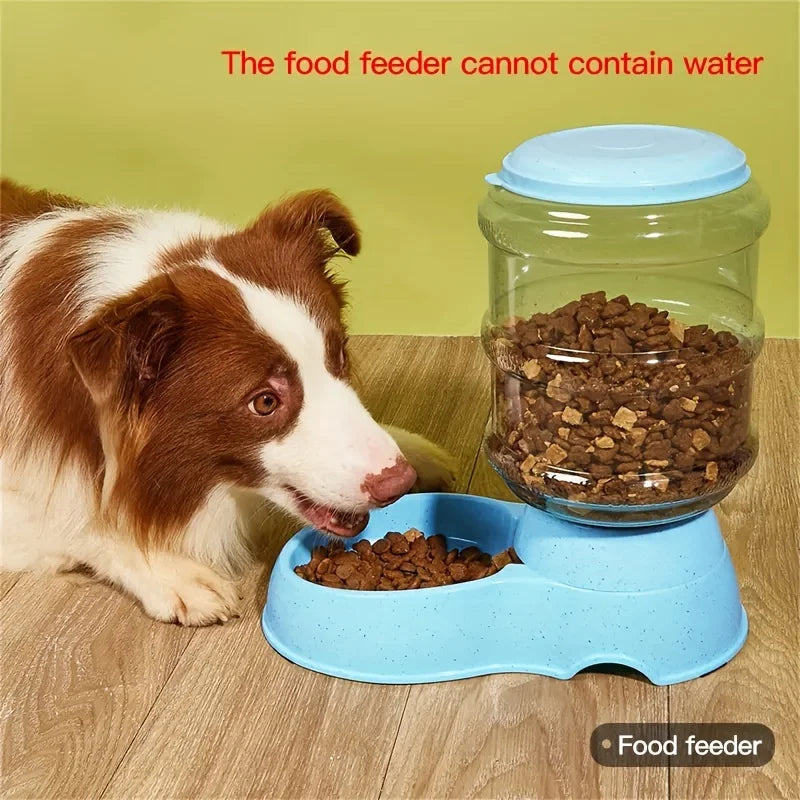Pet dog and cat water feeding and feeder  can be large capacity automatic water storage water feeder  and feeder - Daisan Mart