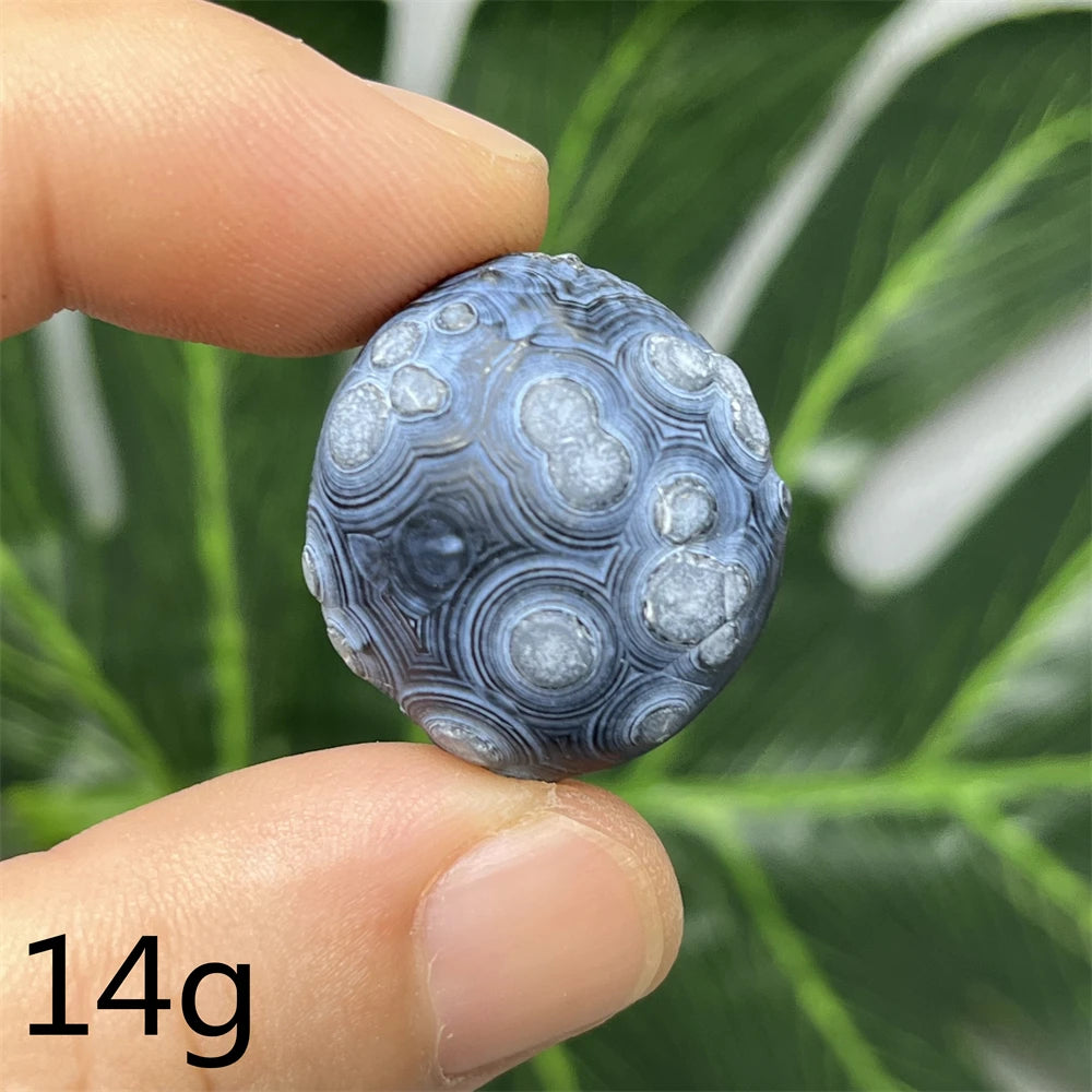 Viên đá màu xanh xám, hoa văn xoắn ốc, được giữ giữa hai ngón tay. Chữ “14g” ở góc.
