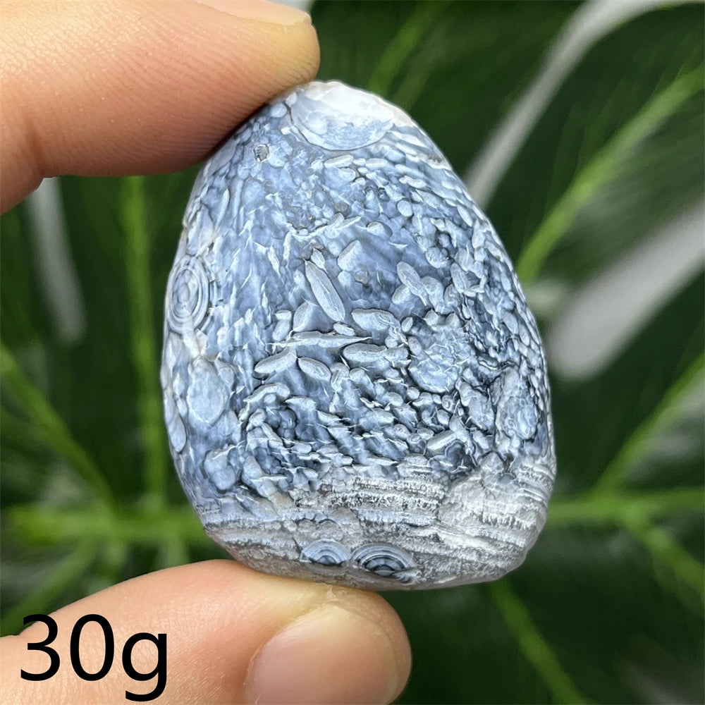 Đá Thiên Thạch Tự Nhiên Trang Trí Phòng Năng Lượng - Daisan Mart