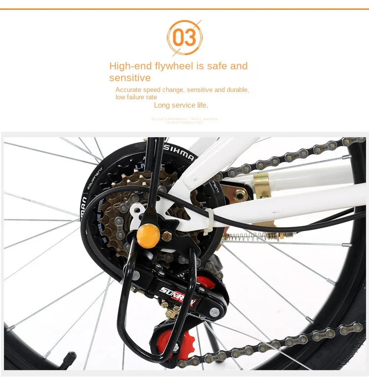 Xe Đạp Gấp 20 Inch Siêu Nhẹ Thể Thao Nam Nữ - Daisan Mart