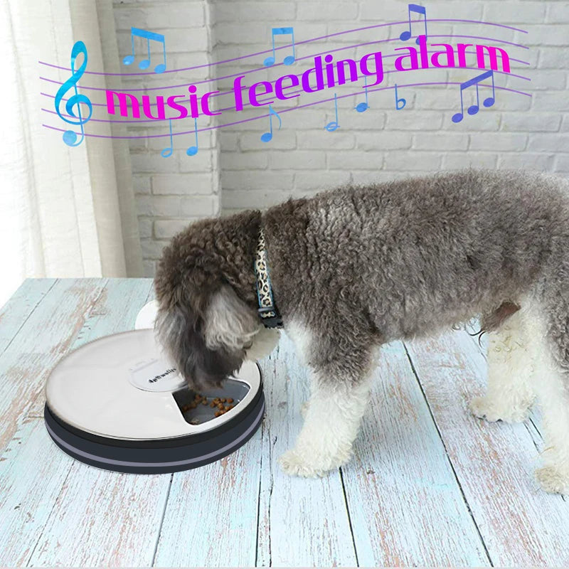 24 Hours Pet Automatic Feeder 6 Grids Electric Dry Wet Food Dispenser With Voice Recorder Round Timing Feeder For Cat Dog Pet