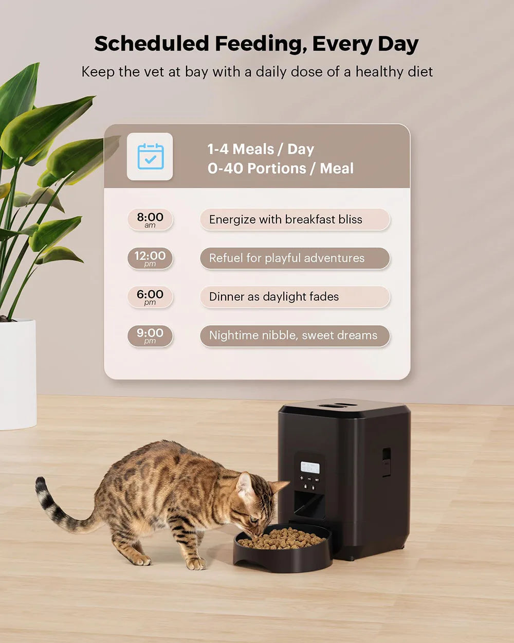 New 2L pet feeder, smart food dispenser for cats and dogs, regular and quantitative feeding of pets, scientific feeding supplies - Daisan Mart