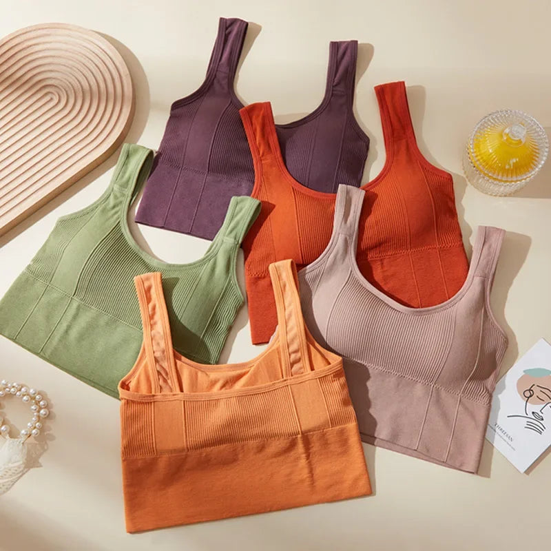 Áo Bra Thể Thao Nữ Chống Mồ Hôi & Đệm Lót Không Đường May - Daisan Mart