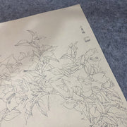 30pcs Traditional Chinese Painting Practice Paper - Authentic Xuan Paper for Floral &amp; Plant Sketching, Perfect for Artists to Master Ancient Chinese Painting Techniques, Painting Art Supplies