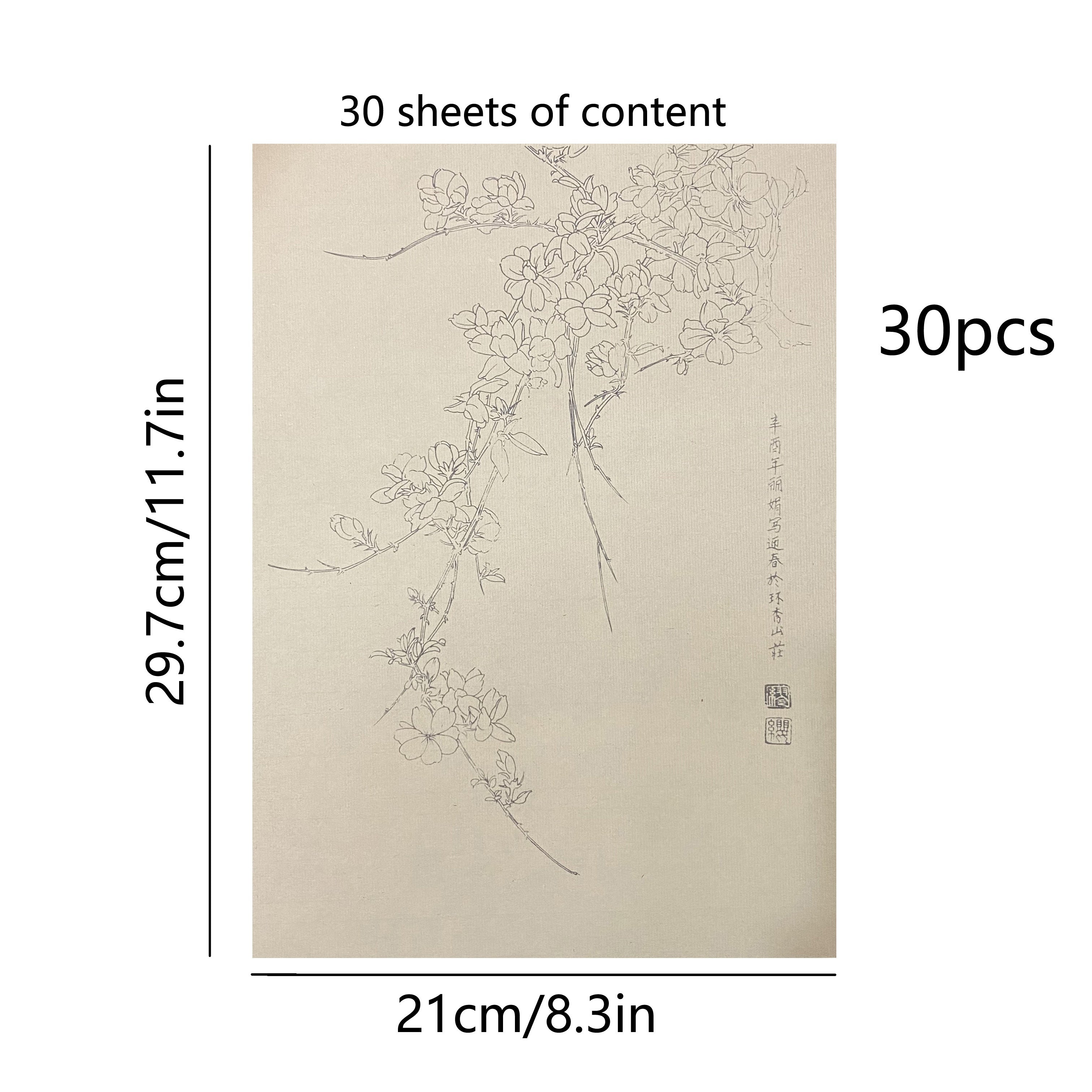 30張傳統中國畫練習紙 - 正宗宣紙，適用於花卉植物素描，是藝術家掌握中國古代繪畫技法的理想之選，繪畫藝術用品