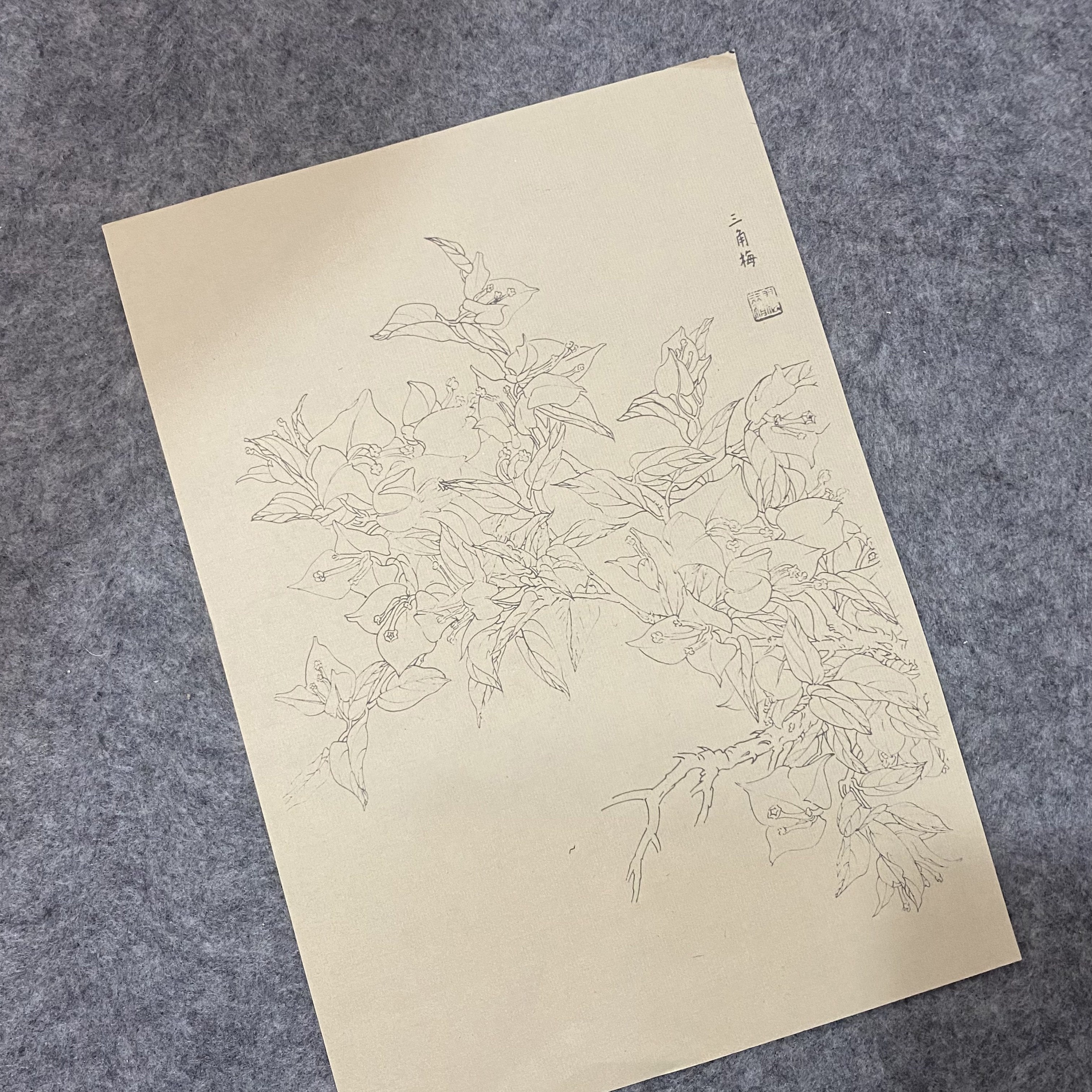 30pcs Traditional Chinese Painting Practice Paper - Authentic Xuan Paper for Floral &amp; Plant Sketching, Perfect for Artists to Master Ancient Chinese Painting Techniques, Painting Art Supplies