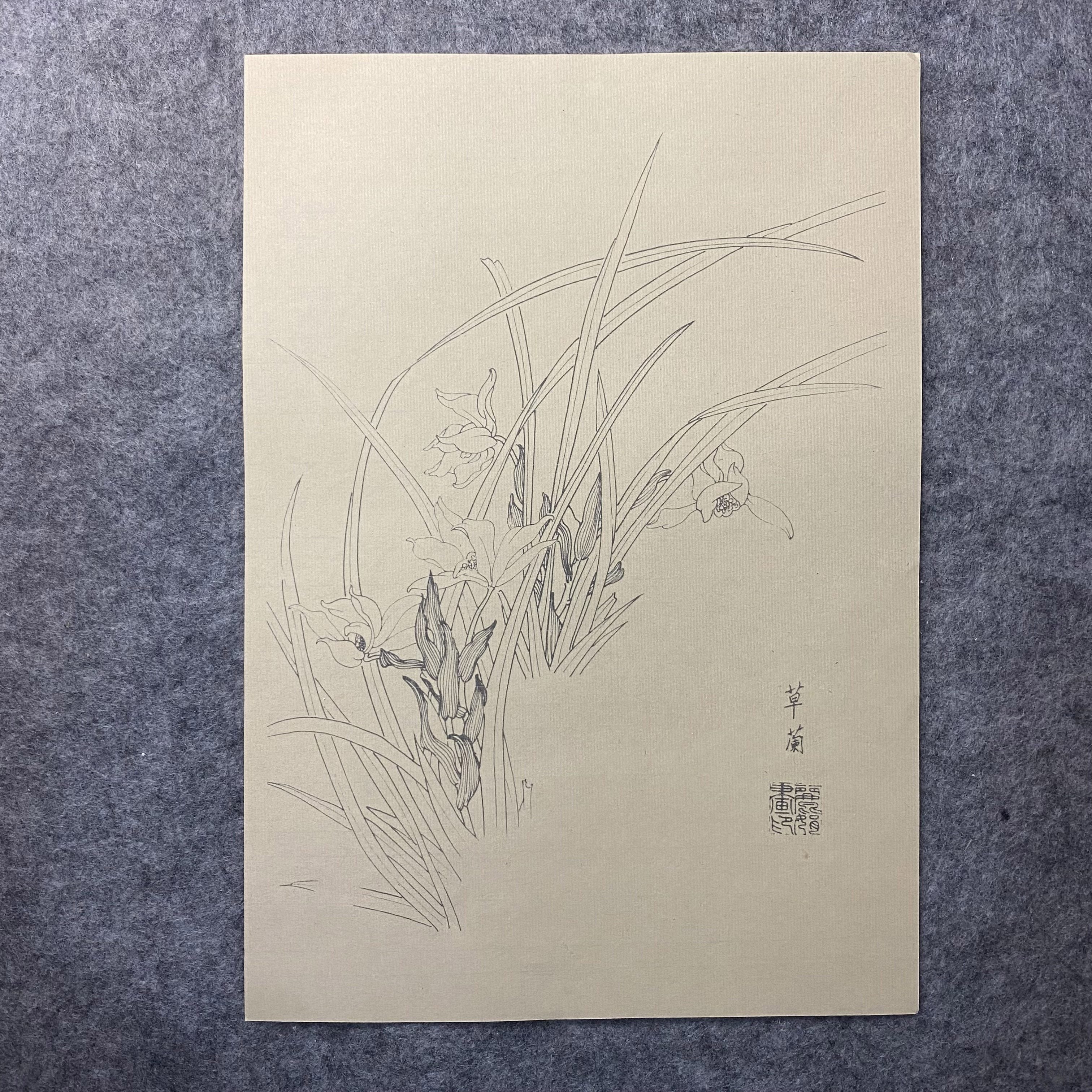 30pcs Traditional Chinese Painting Practice Paper - Authentic Xuan Paper for Floral &amp; Plant Sketching, Perfect for Artists to Master Ancient Chinese Painting Techniques, Painting Art Supplies