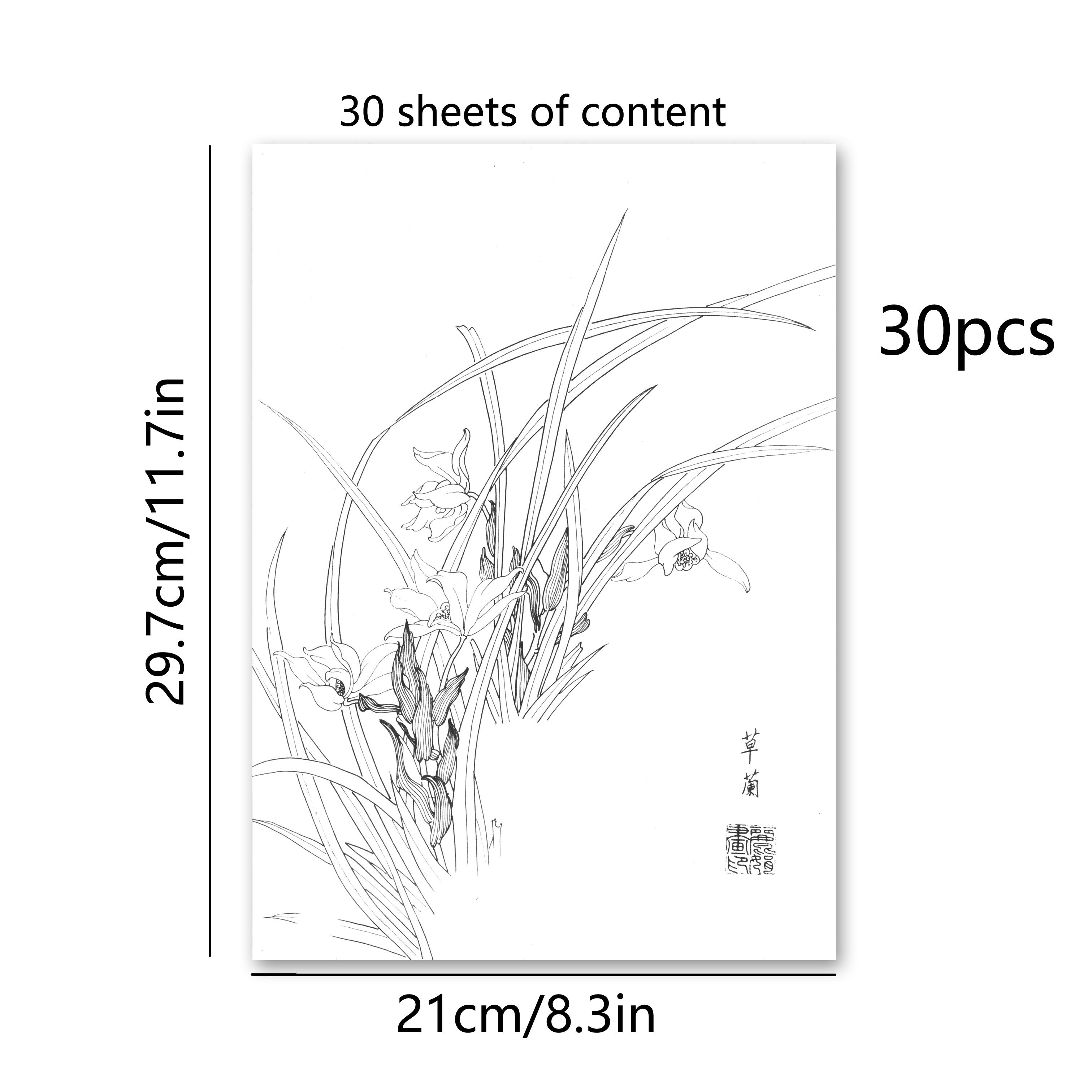 30pcs Traditional Chinese Painting Practice Paper - Authentic Xuan Paper for Floral &amp; Plant Sketching, Perfect for Artists to Master Ancient Chinese Painting Techniques, Painting Art Supplies