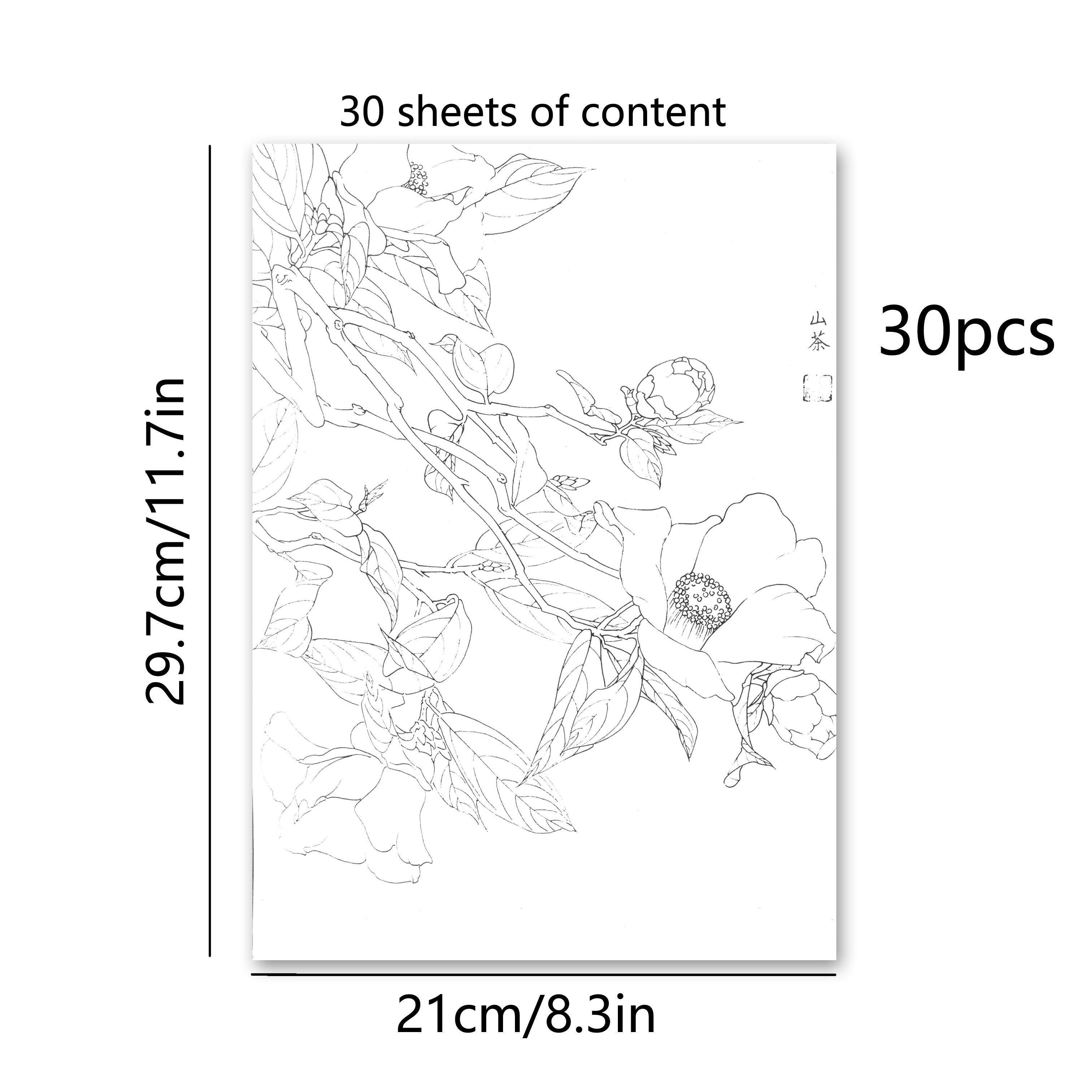 30pcs Traditional Chinese Painting Practice Paper - Authentic Xuan Paper for Floral &amp; Plant Sketching, Perfect for Artists to Master Ancient Chinese Painting Techniques, Painting Art Supplies