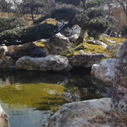 Đá sa thạch Boulder nhẹ làm cảnh quan, đá trang trí sân vườn - Daisan Mart