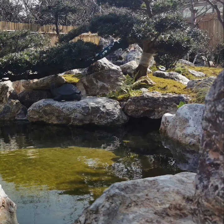 Đá sa thạch Boulder nhẹ làm cảnh quan, đá trang trí sân vườn - Daisan Mart