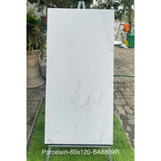 Gạch Ấn Độ 600x1200mm BA8809R - Daisan Mart