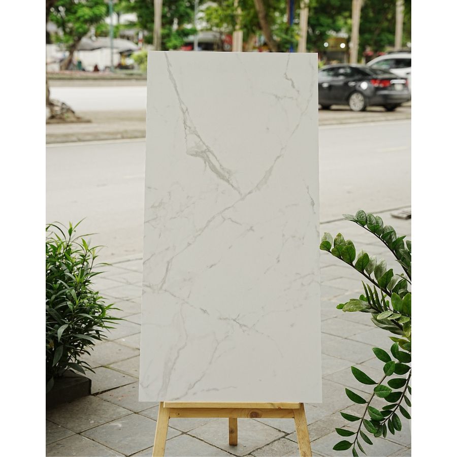 Gạch Ấn Độ KT 600x1200mm 12053R - Daisan Mart