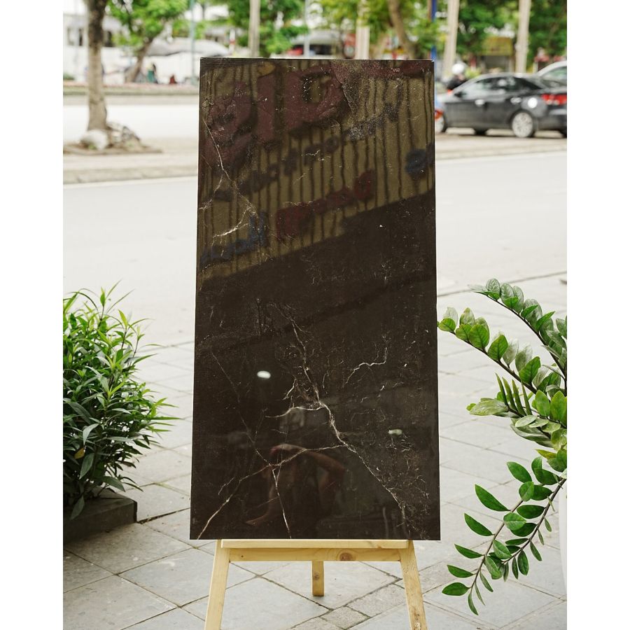 Gạch Ấn Độ KT 600x1200mm 12091H - Daisan Mart