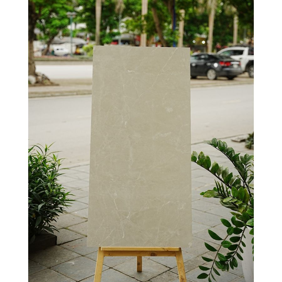 Gạch Ấn Độ KT 600x1200mm 12214R - Daisan Mart