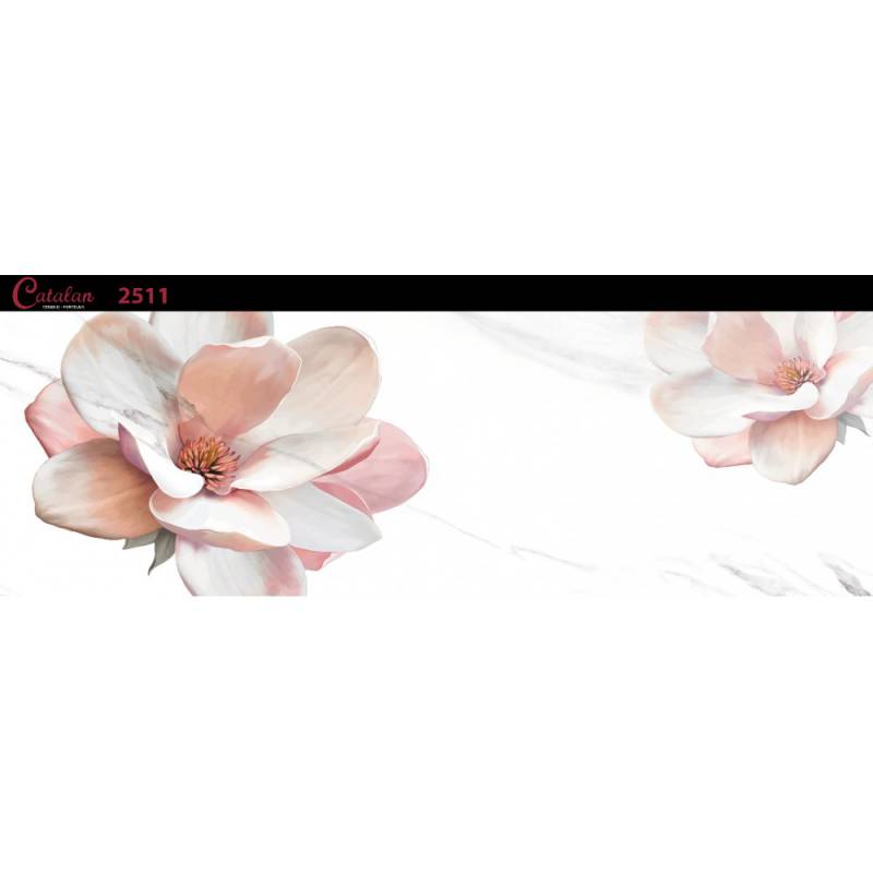 Gạch ốp tường 255x780 Catalan 2511 - Daisan Mart