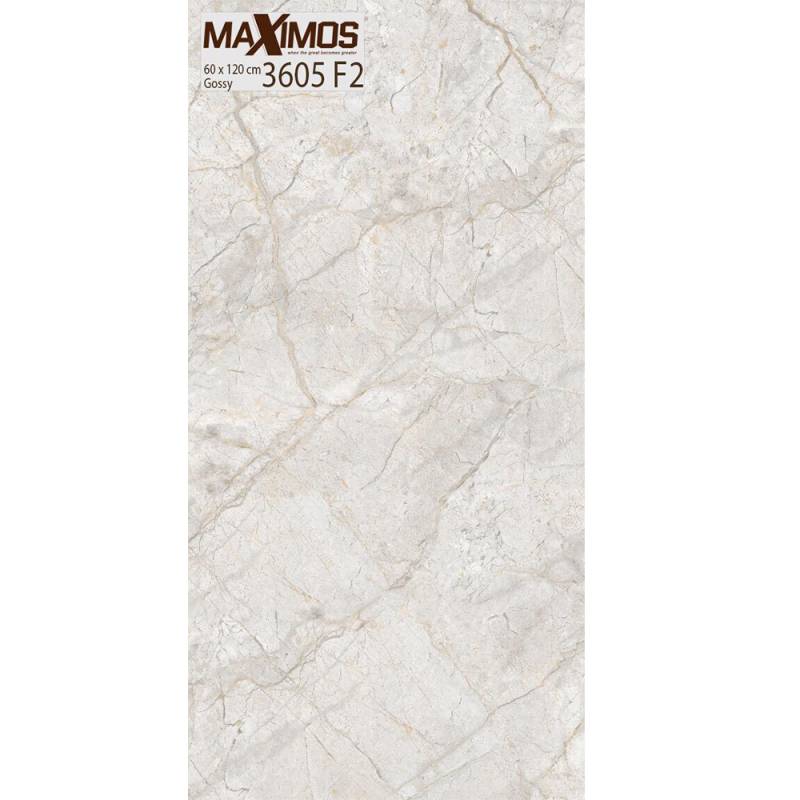 Gạch ốp tường Vitto men Gossy chống trơn xước 60x120cm 3605F2 - Daisan Mart