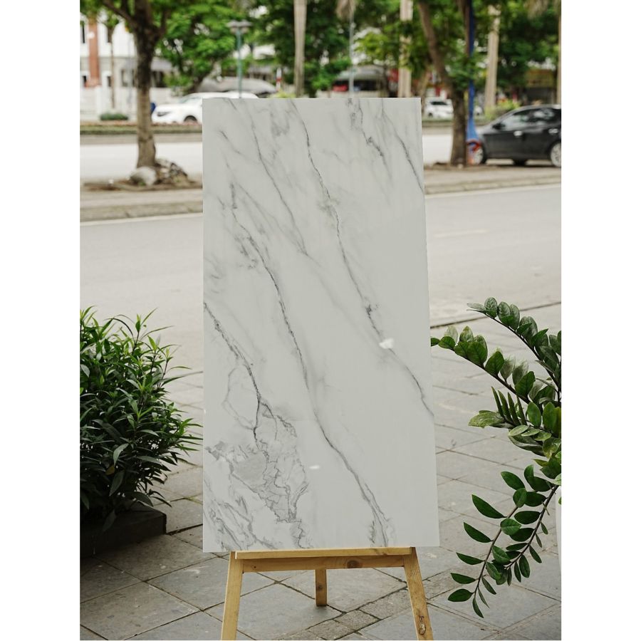 Gạch Ấn Độ KT 600x1200mm Carrara Ice - Daisan Mart