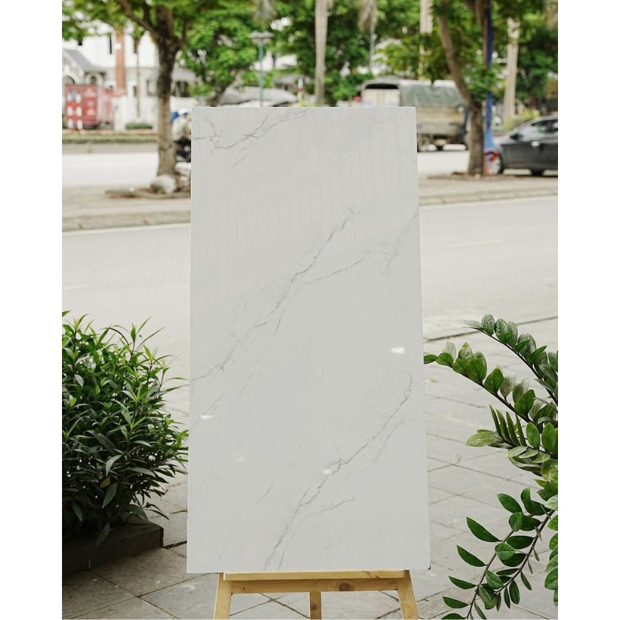 Gạch Ấn Độ KT 600x1200mm HARMONY BIANCO - Daisan Mart