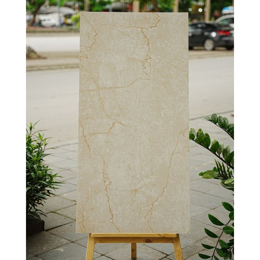 Gạch Ấn Độ KT 600x1200mm HP8823MS - Daisan Mart