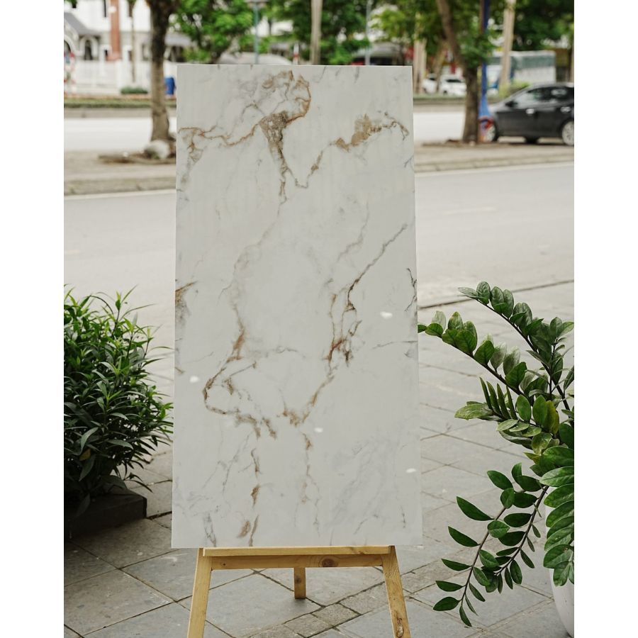 Gạch Ấn Độ KT 600x1200mm Latina Bianco - Daisan Mart