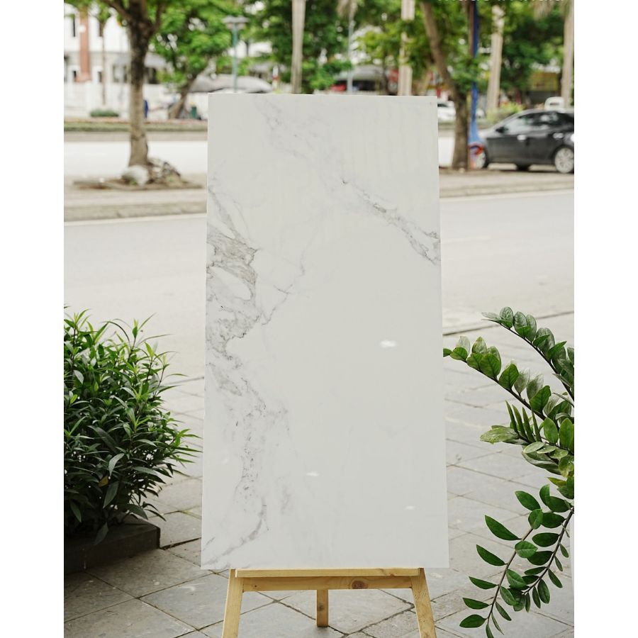 Gạch Ấn Độ KT 600x1200mm Lotus Statuario - Daisan Mart