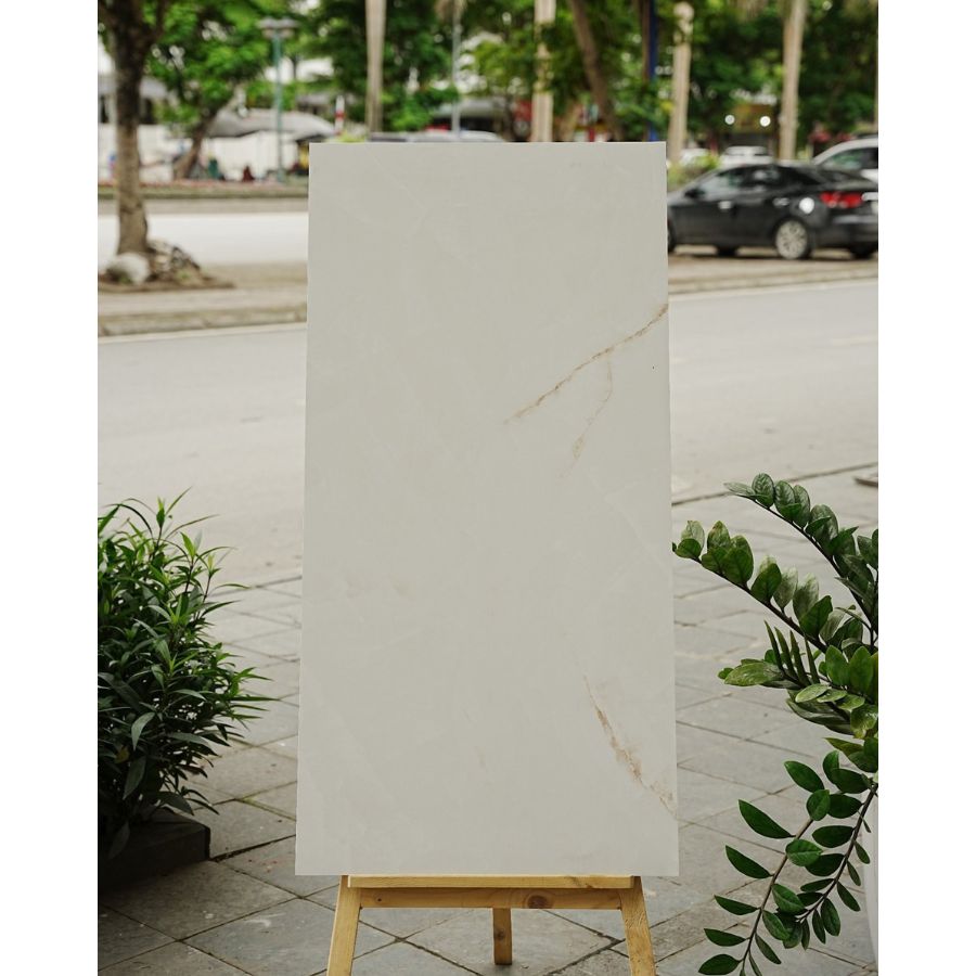 Gạch Ấn Độ KT 600x1200mm Satin Base 1006 - Daisan Mart