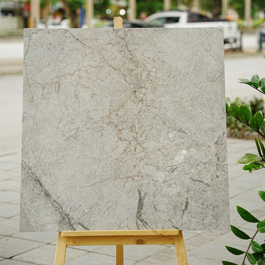 Gạch Ấn Độ KT 800x800mm Saltash grey - Daisan Mart