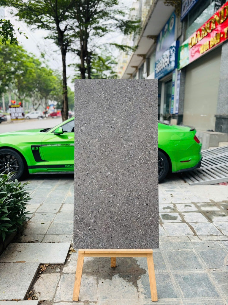 Gạch Terrazzo 600x1200mm Men Matt DSH01 - Daisan Mart