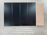 Gạch thẻ đen mờ phẳng KT 100x300mm M1307Y - Daisan Mart