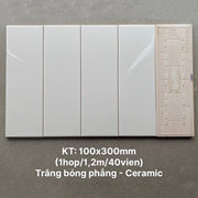 Gạch thẻ trắng bóng phẳng KT 100x300mm STA1300 - Daisan Mart