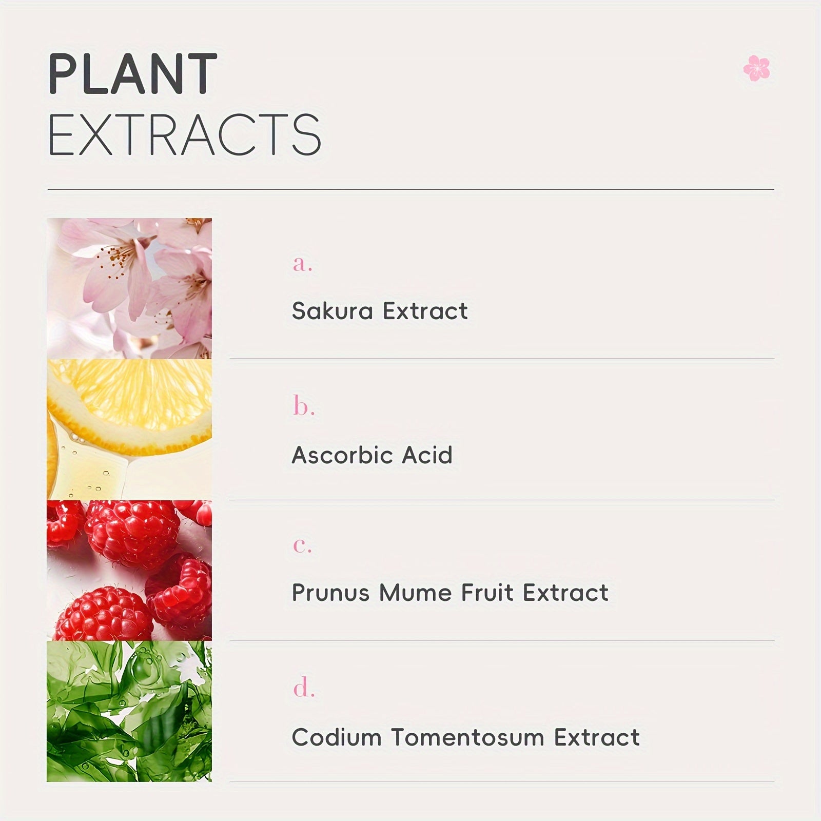 Sakura Cleanser 100ml - Dưỡng Ẩm & Sạch Sâu