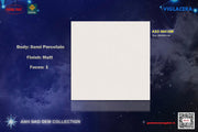 ASD6641 SM 60X60CM Viglacera Matte