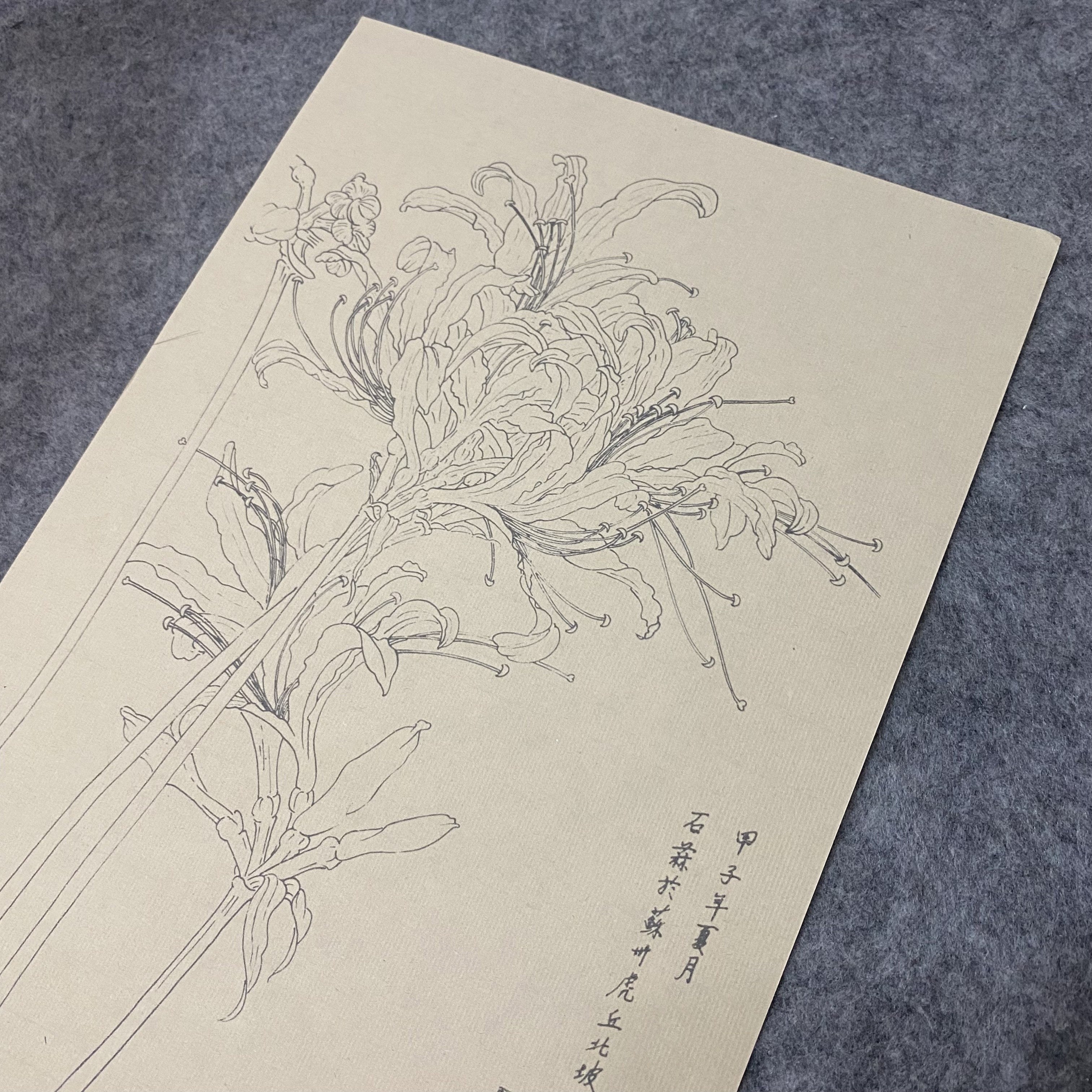 30pcs Traditional Chinese Painting Practice Paper - Authentic Xuan Paper for Floral &amp; Plant Sketching, Perfect for Artists to Master Ancient Chinese Painting Techniques, Painting Art Supplies