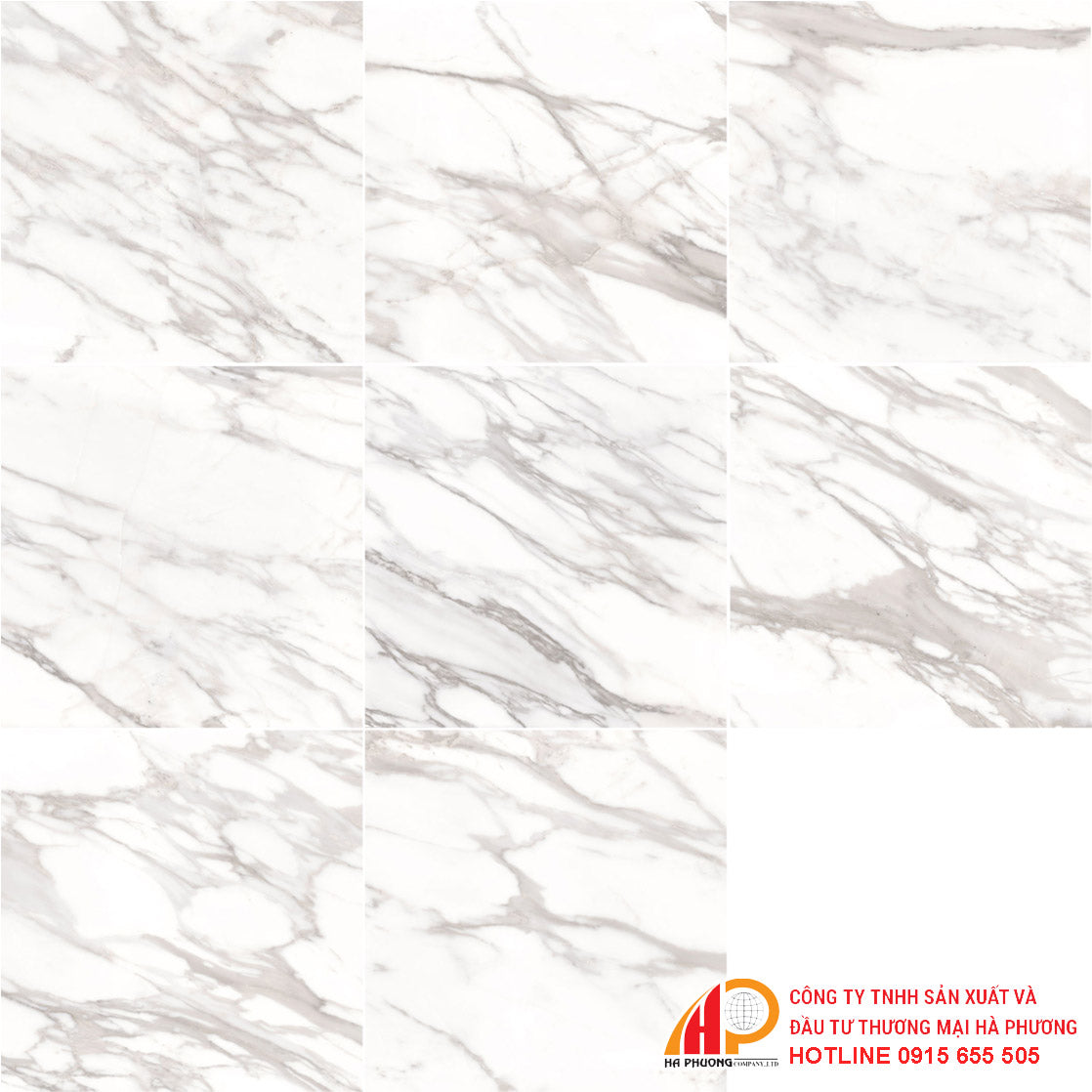 Floor tiles 800x800 Thach Ban GSB80-8305.0