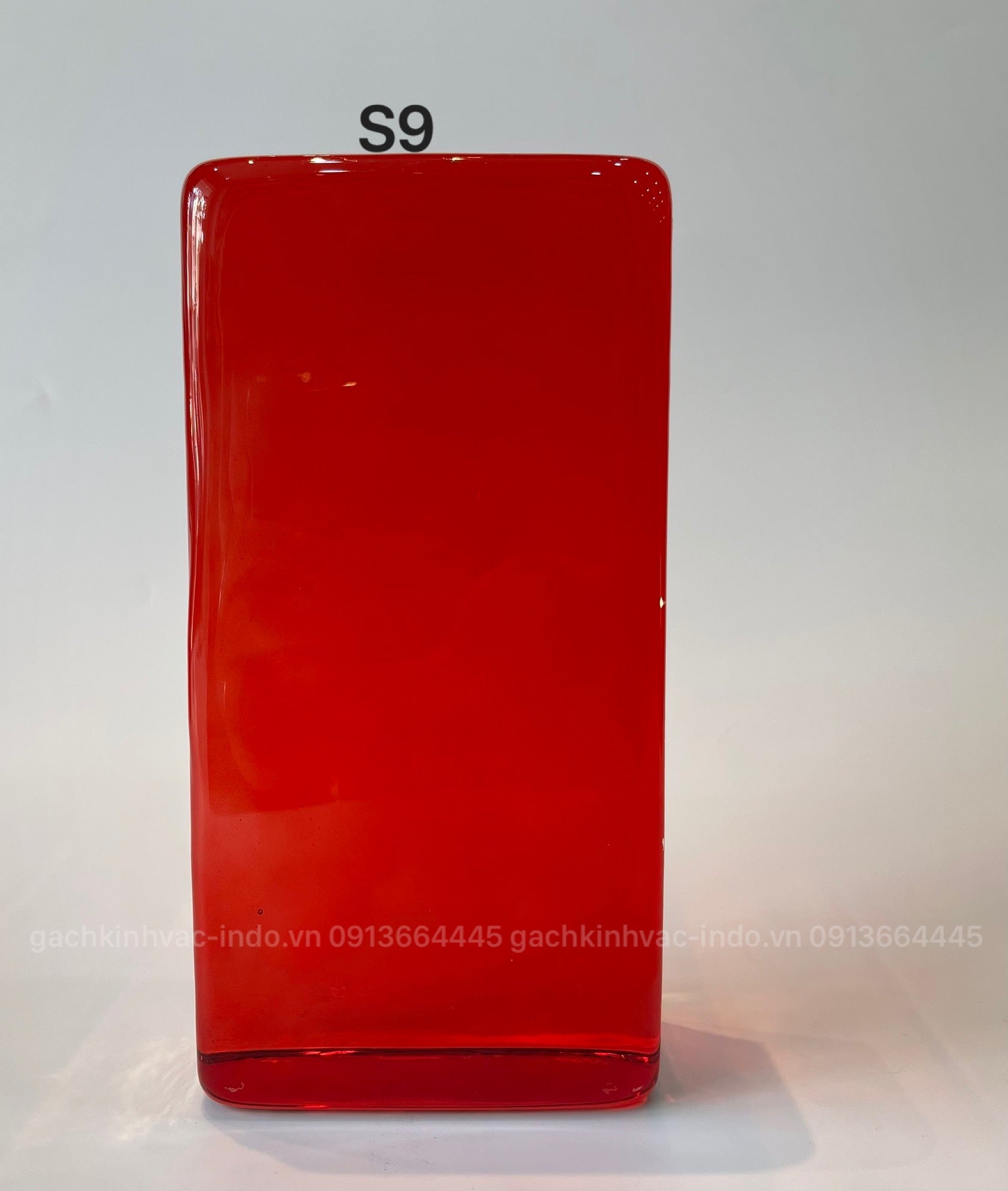 GẠCH KÍNH KHỐI ĐẶC S9 - Daisan Mart