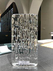 GẠCH KÍNH KHỐI ĐẶC SP9 - Daisan Mart