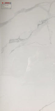 Taicera floor tiles 60×120 gp12805
