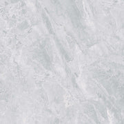 Gạch Men Bóng 600x600 - Mã SMP-66019 - Daisan Mart