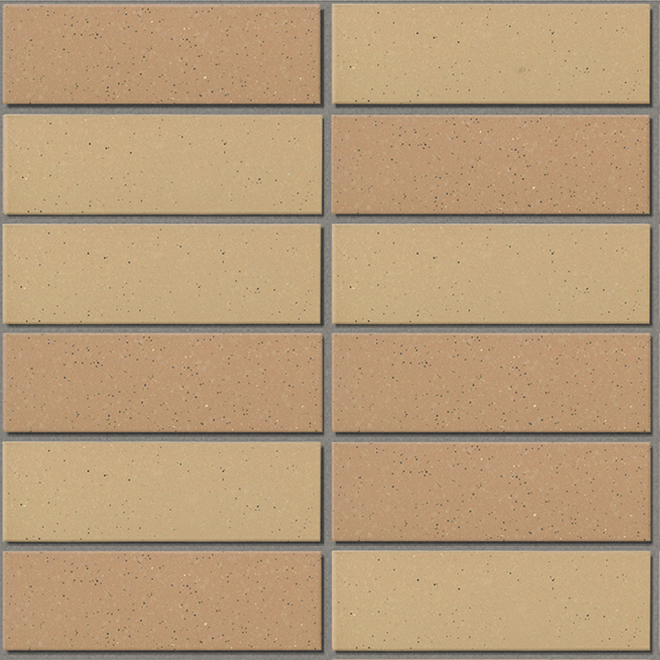355/EAC-EARTH COLOR BORDER - Daisan Mart