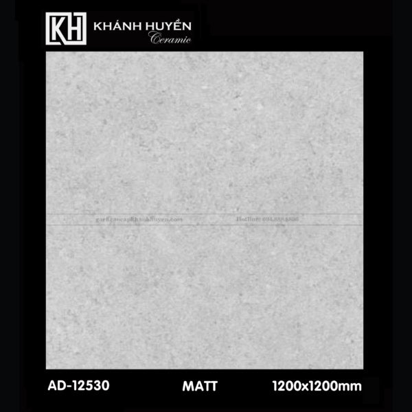 Gạch ốp lát 1200×1200 AD-12530 - Daisan Mart
