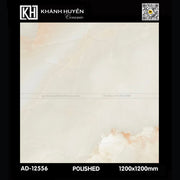 Gạch ốp lát 1200×1200 AD-12556 - Daisan Mart